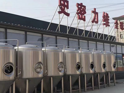 柳林精酿啤酒设备厂—市场规模与跨界新需求